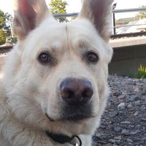 Meet your Posher, Lexi